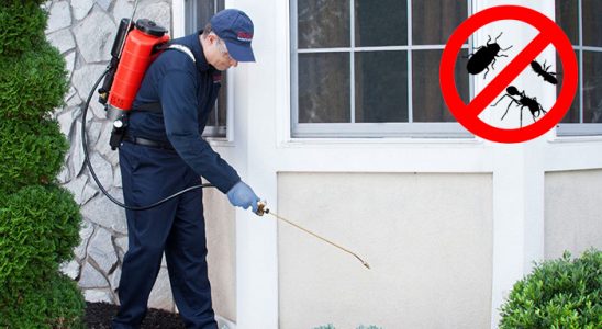 Gelendost Bit İlaçlama böcek ilaçlama ve haşere kontrolü — ilaclama-tr.com